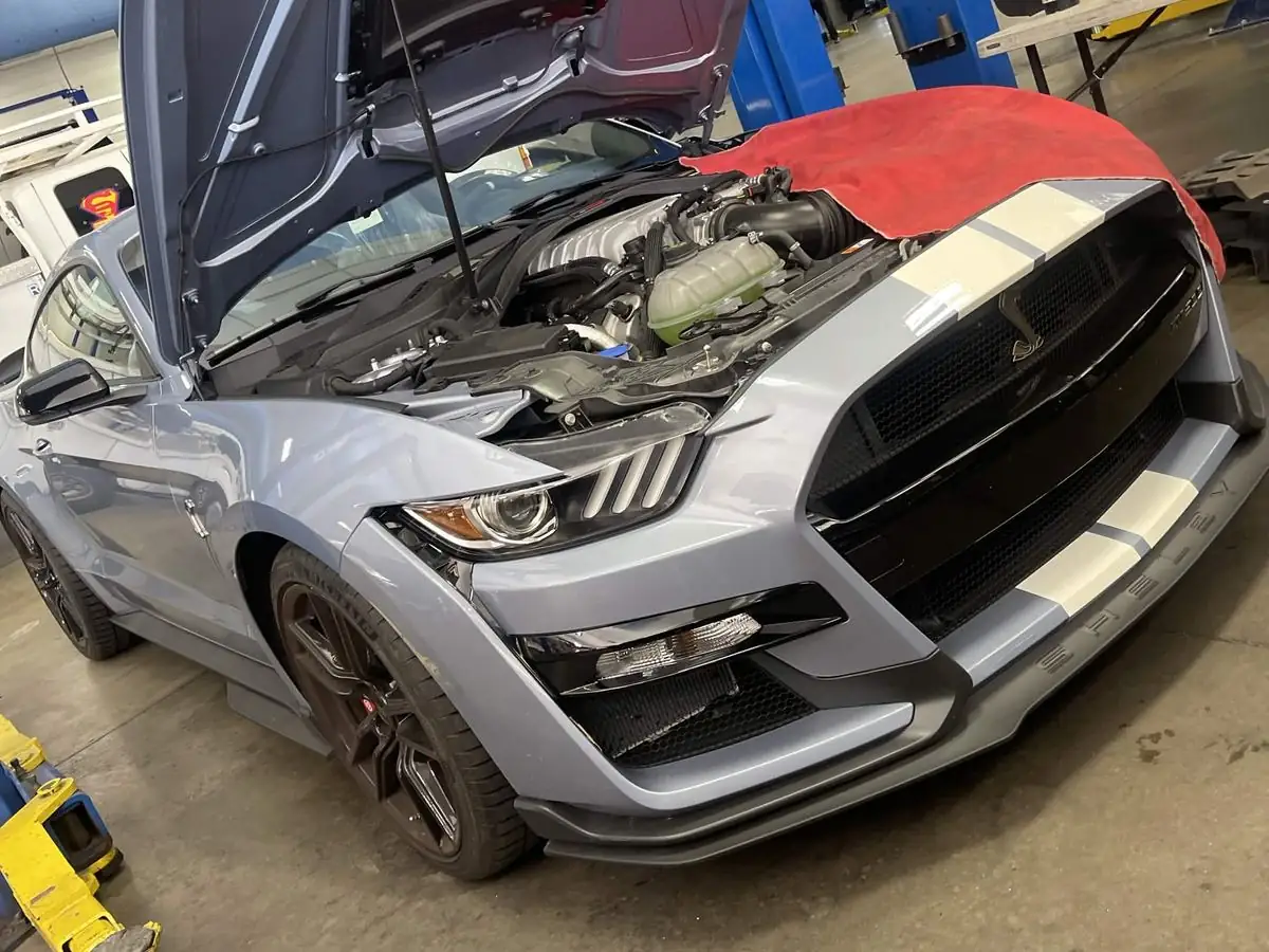 Shelby GT500 in grey with white racing stripes, hood raised for service