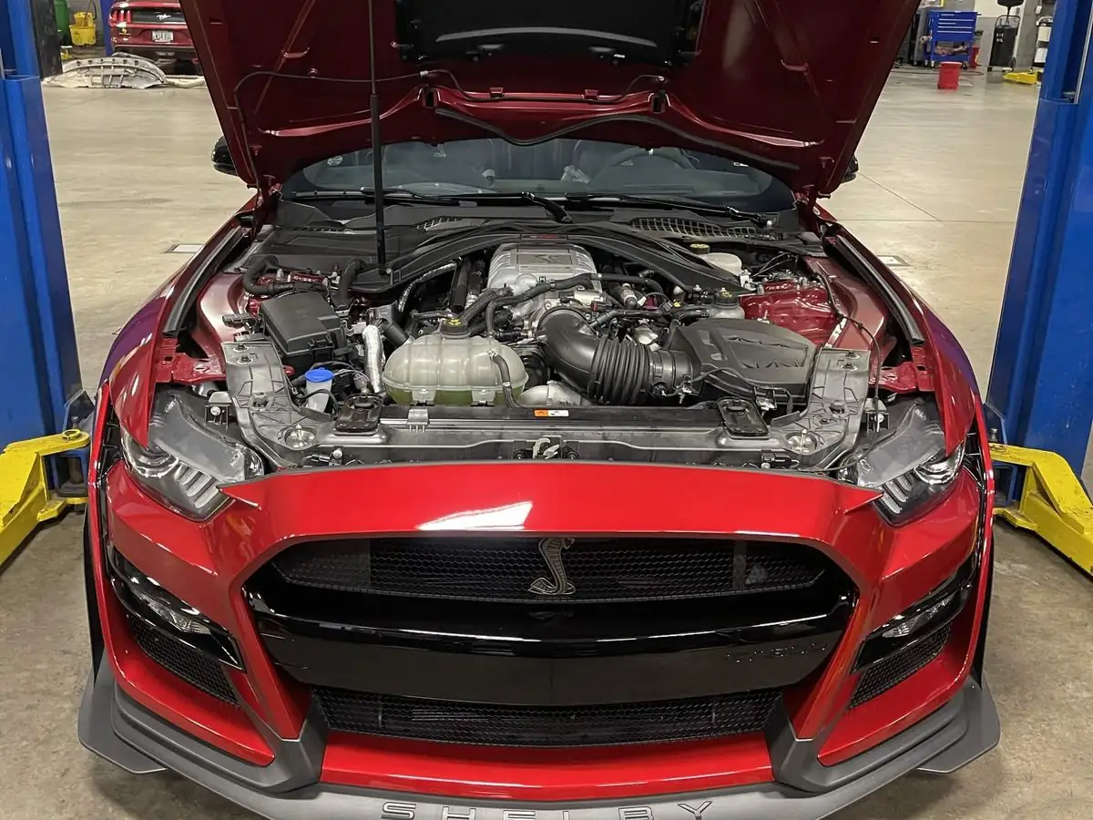 Red Shelby GT500 engine bay seen from the front with the hood raised